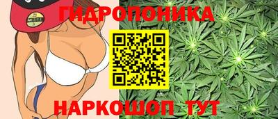 индика Краснокаменск
